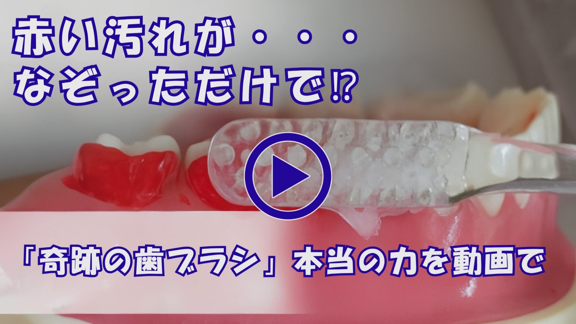 動画を読み込む: 